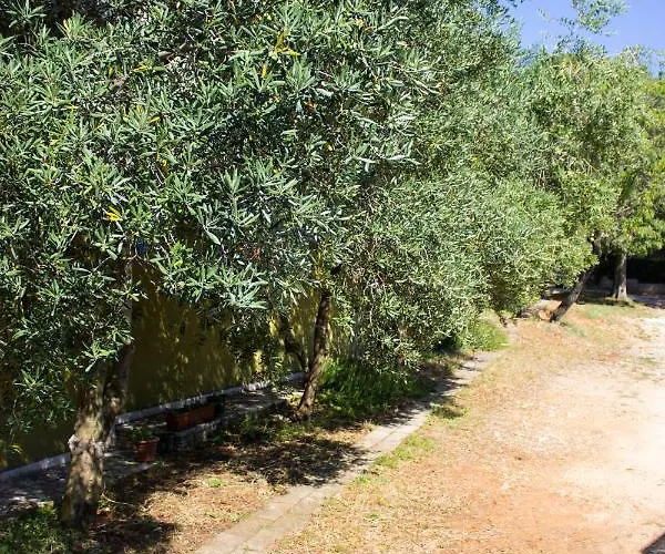 Bilini Garden Appartement