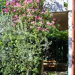 Appartamento Bilini Garden