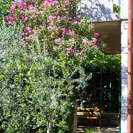 Apartment Bilini Garden