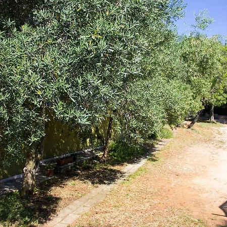 Bilini Garden Apartment